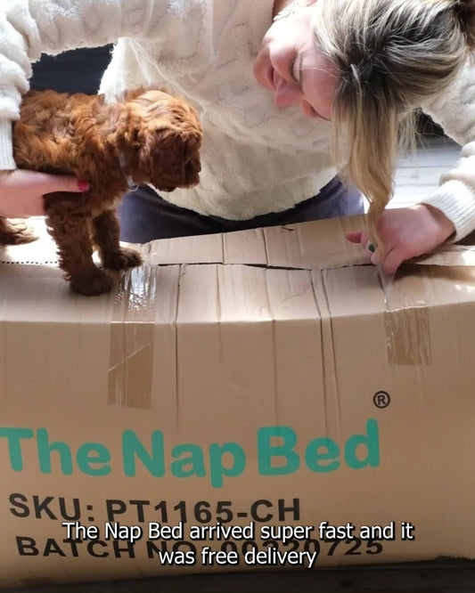 Thenapbed 1.8M Human Size Pet Bed Fluffy Calming Washing Napping Mattress Brown
