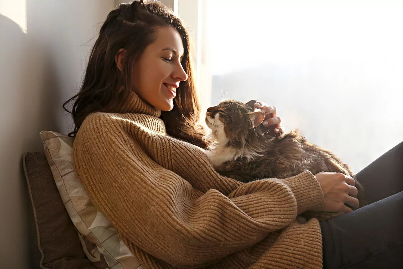 Tips for keeping your cat cool and healthy