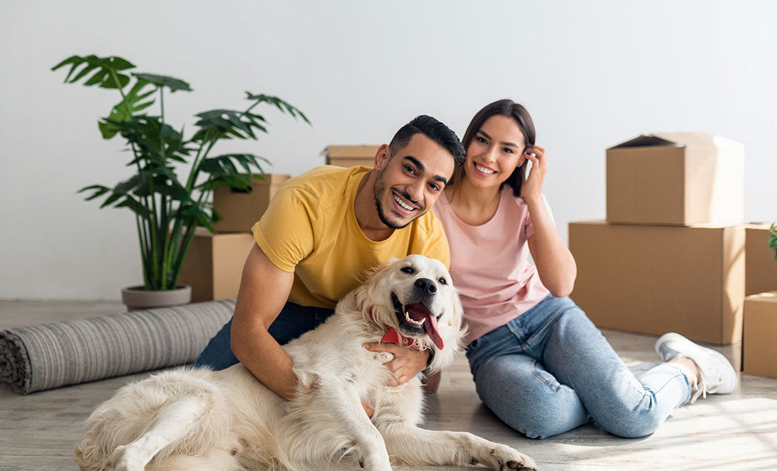Why a Dog is More Than Just a Pet They’re Family