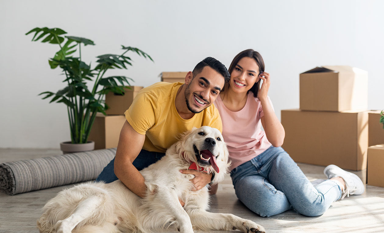 Why a Dog is More Than Just a Pet They’re Family