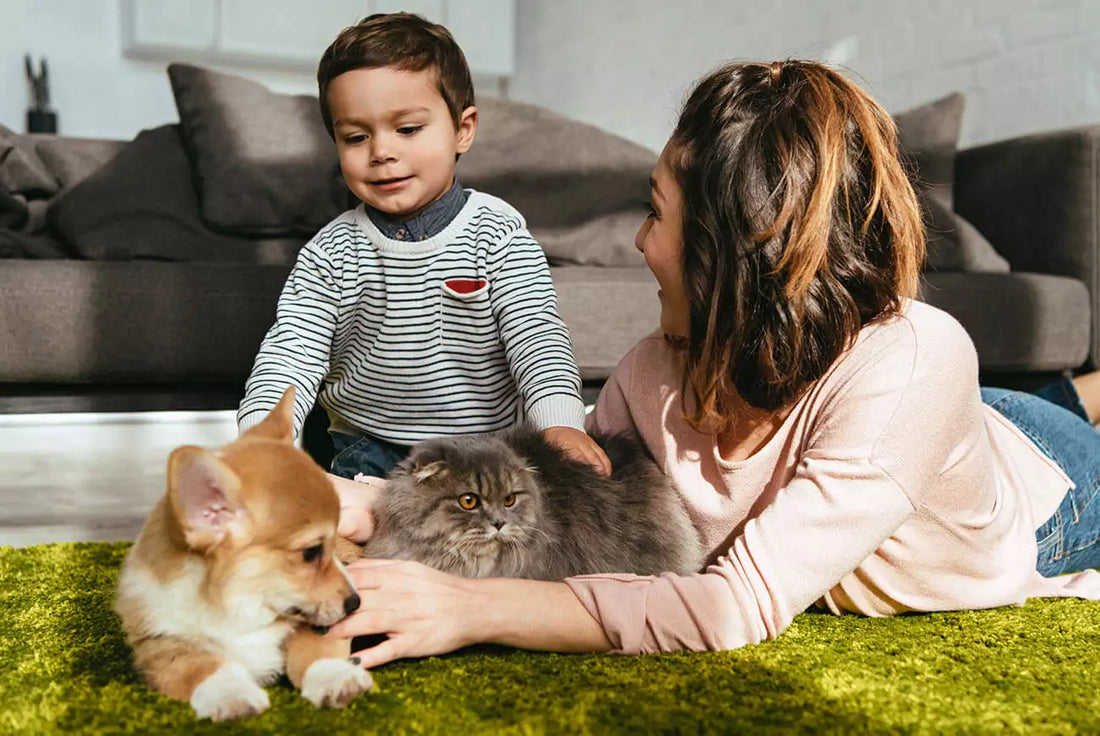 The pros and cons of owning a dog as a pet