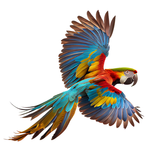 Parrot Food