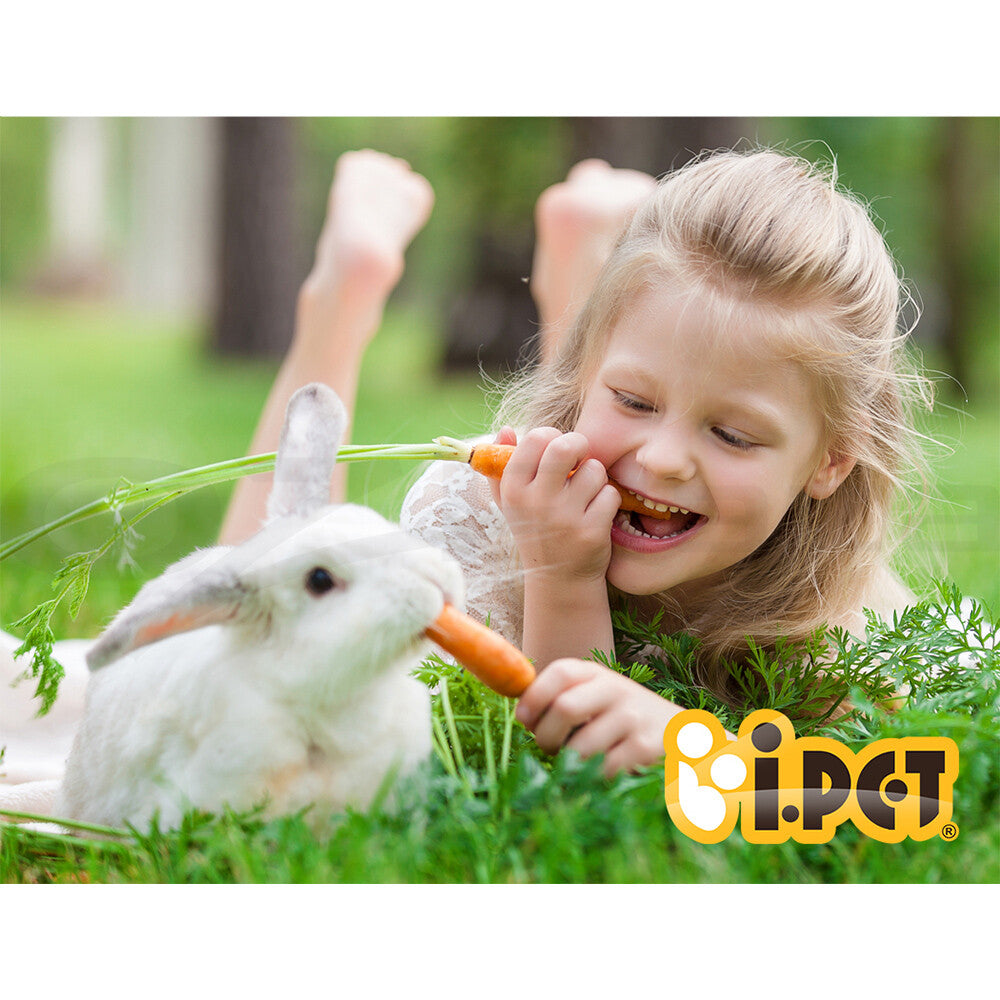 I.Pet Chicken Coop Rabbit Hutch Large House Run Cage XL Pet Hutch Bunny Wooden