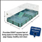 Guinea Habitat plus Cage, Includes Divider Panel and Hinged Top, Washable PVC Canvas Bottom, Expandable Small Animal Cage for Guinea Pigs, 171GHP