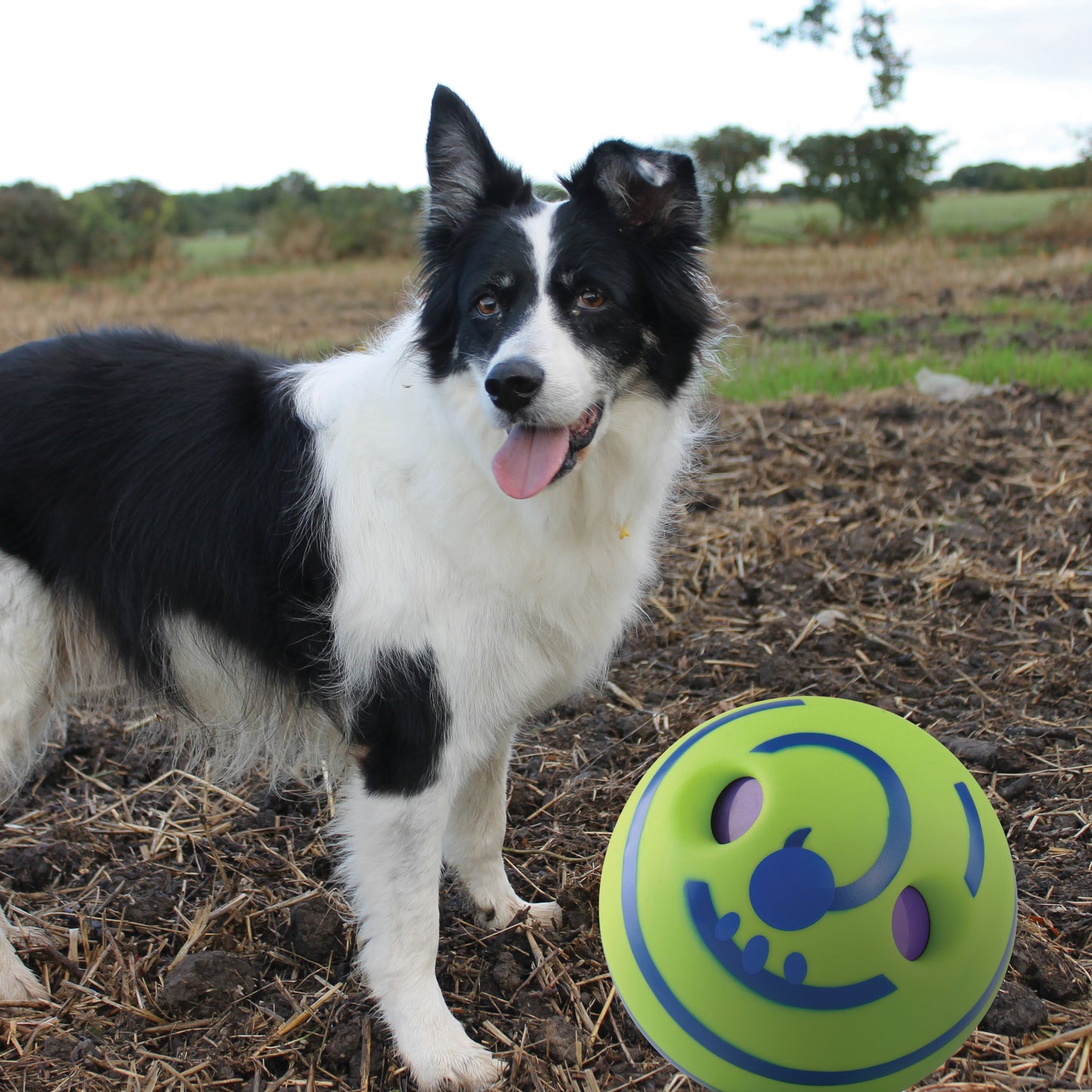 Pet Giggle Ball 15Cm Interactive Sound Toy for Indoor and Outdoor Fun