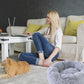 Cat Beds for Indoor Cats, 24 Inch round Donut Washable Cat Bed, Fluffy Calming Self Warming Soft Donut Cuddler Cushion Pet Bed for Dogs and Kittens,Non-Slip