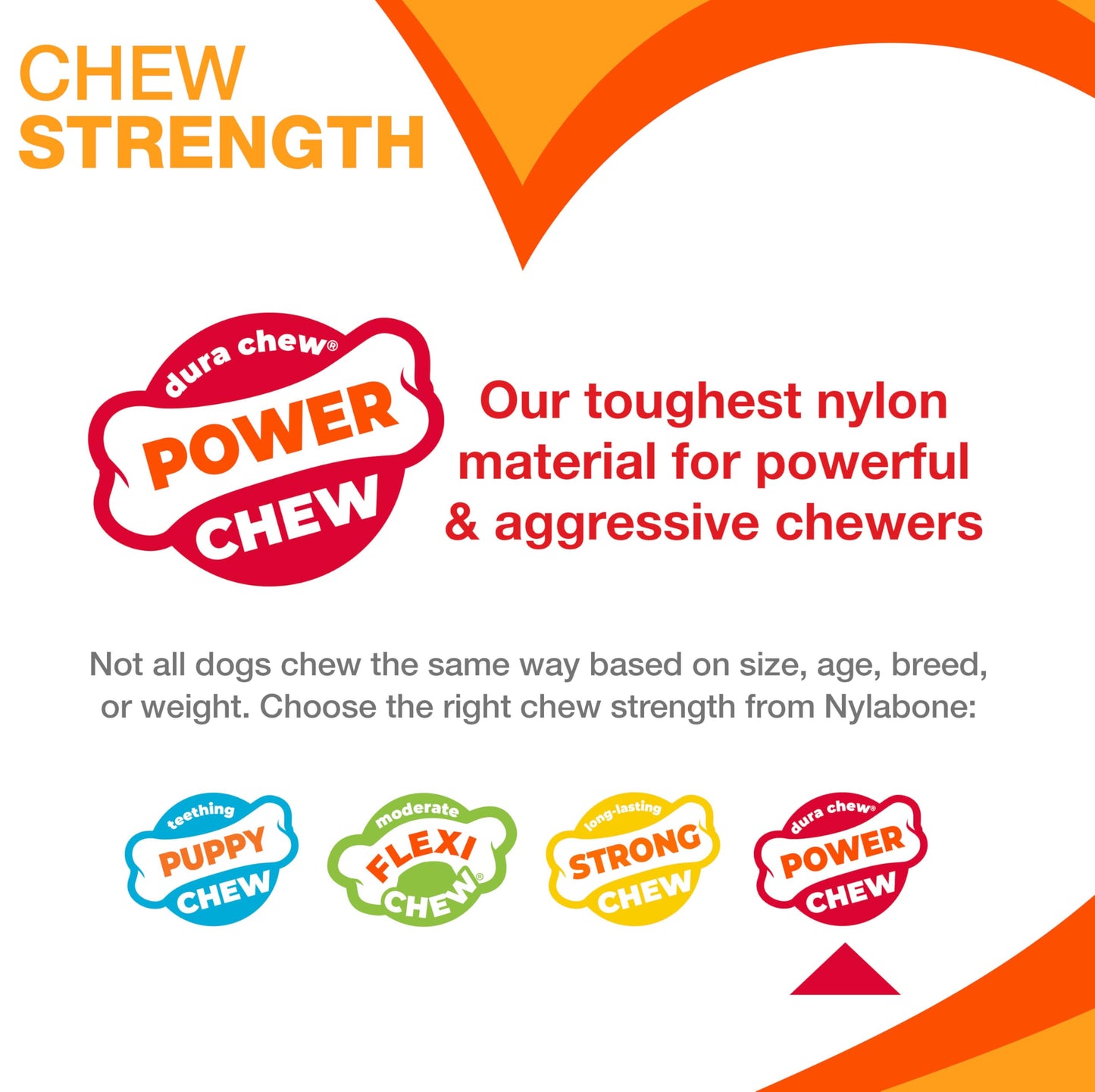 Nylabone Cheese Bone Power Chew Toy for Dogs, Cute Dog Toys for Aggressive Chewers, Cheese Flavor, Medium Dogs - Up to 35 lbs, 1 Count