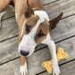 Nylabone Cheese Bone Power Chew Toy for Dogs, Cute Dog Toys for Aggressive Chewers, Cheese Flavor, Medium Dogs - Up to 35 lbs, 1 Count