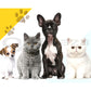 I.Pet Pet Dog Playpen Enclosure 8 Panel Cage 32" Puppy Exercise Fence Playpen XL