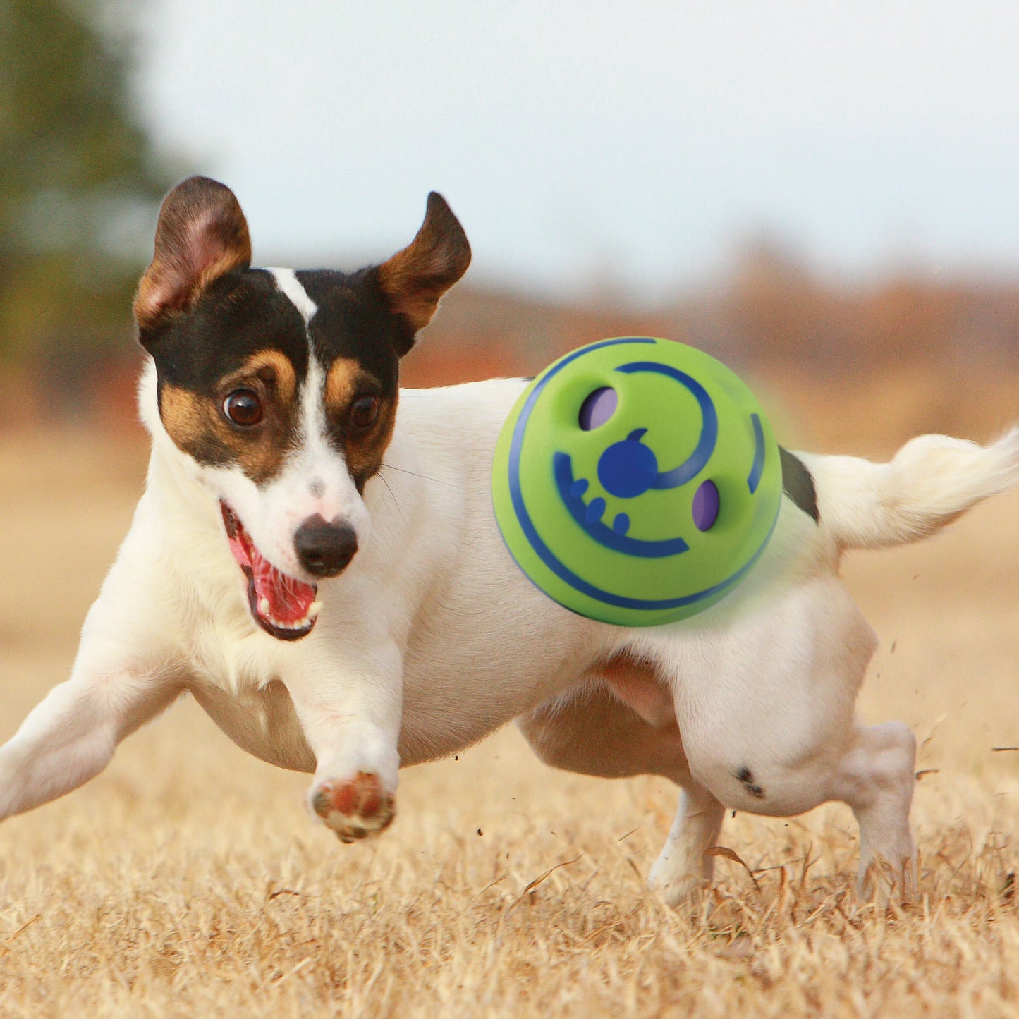 Pet Giggle Ball 15Cm Interactive Sound Toy for Indoor and Outdoor Fun
