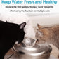 Cat Water Fountain Filter, 6 Pack Replacement Filters for 67Oz/2L Automatic Pet Fountain - 3 Triple Filtration System