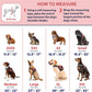 Service Dog Vest with Hook and Loop Straps and Handle - Harness Is Available in 8 Sizes from XXXS to XXL - Service Dog Harness Features Reflective Patch and Comfortable Mesh Design Bright Red