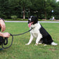 Pet Strong Rope Long Nylon Training Dog Puppy Leash Heavy Duty Lead Soft Handle