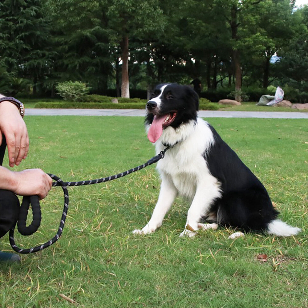 Pet Strong Rope Long Nylon Training Dog Puppy Leash Heavy Duty Lead Soft Handle