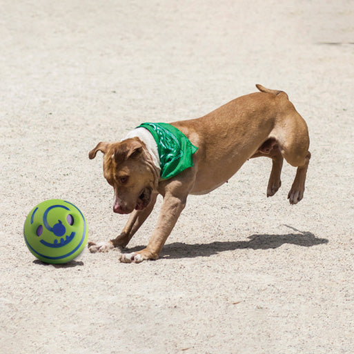 Pet Giggle Ball 15Cm Interactive Sound Toy for Indoor and Outdoor Fun