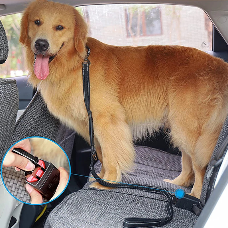 Adjustable Pet Dog Nylon Reflective Multi-Functional Retractable Dog Leash with Car Safety Buckle Pet Traction Rope Tactical