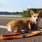 Adjustable Pet Dog Nylon Reflective Multi-Functional Retractable Dog Leash with Car Safety Buckle Pet Traction Rope Tactical